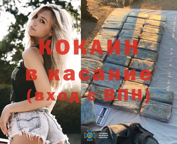 индика Алзамай