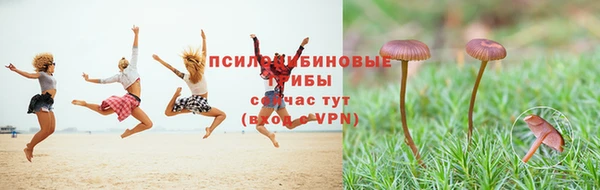 индика Алзамай