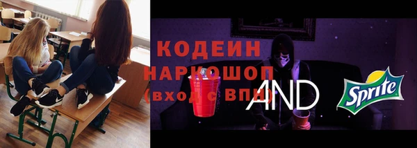 индика Алзамай