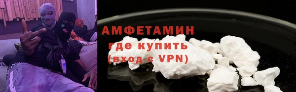 индика Алзамай