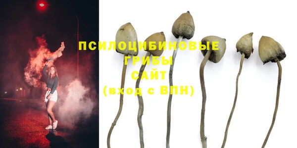 2c-b Алексеевка