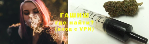 индика Алзамай