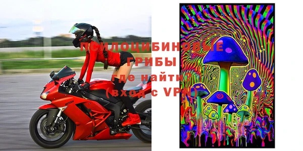 индика Алзамай
