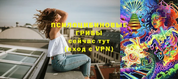 индика Алзамай