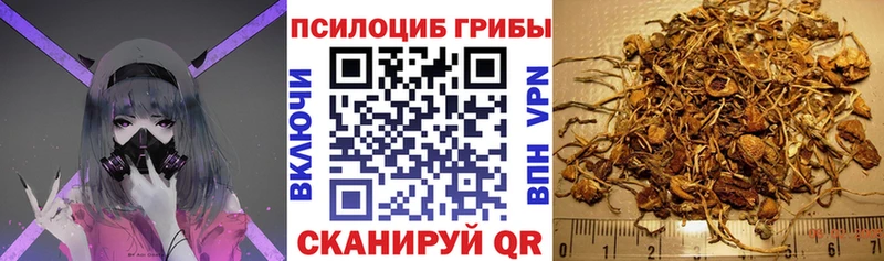 Псилоцибиновые грибы Psilocybine cubensis  купить наркотики сайты  Каневская 